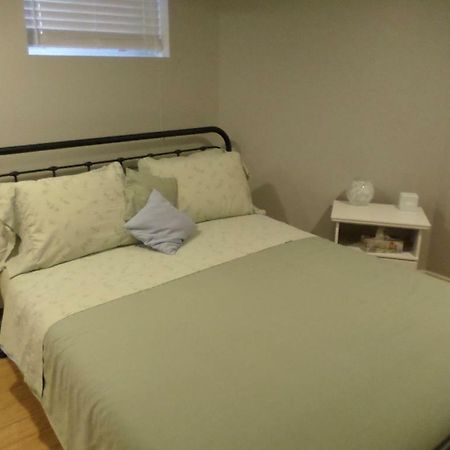Fantastic And Modern Downtown 1-Bed Basement Apt., Parking Wi-Fi And Netflix Included Ottawa Exteriér fotografie
